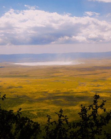 Ngorogoro Crater with Shengena Tours